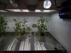 mobile-hydroponics-trailer-002