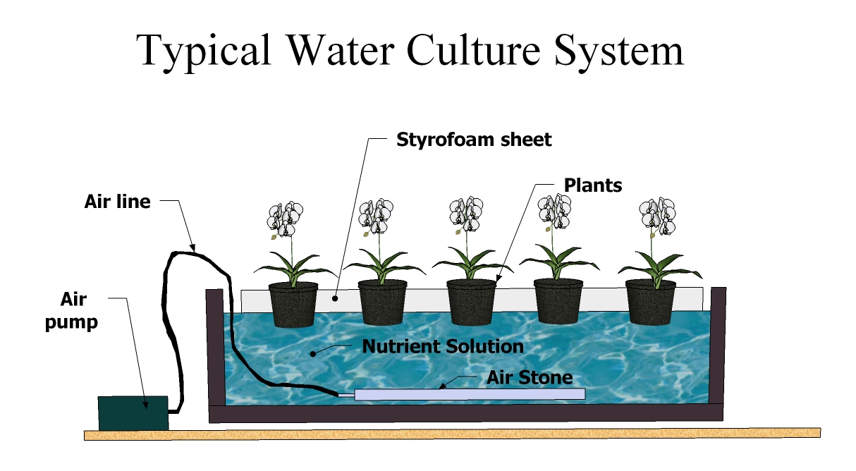 The Six Types of Hydroponic Systems, Part 1 | Hydroponics Blog ...
