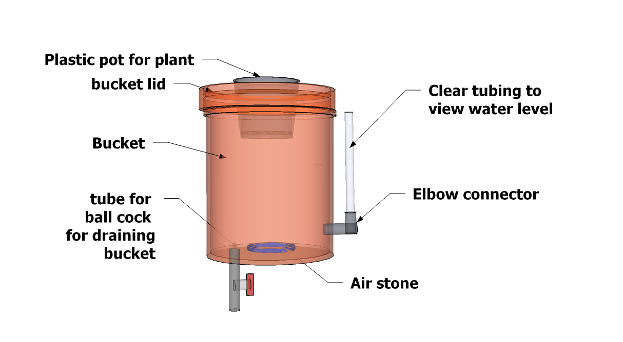 Hydroponic Bucket System Plans