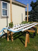 Click image for larger version

Name:	hydroponics 003.jpg
Views:	913
Size:	97.7 KB
ID:	1295