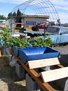Click image for larger version

Name:	hydroponics 008.jpg
Views:	987
Size:	98.0 KB
ID:	1341