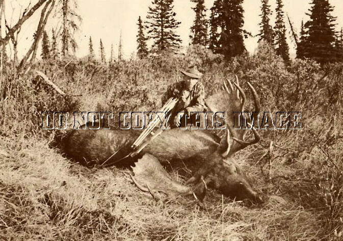 ANTIQUE REPRO 8X10 PRINT OF FAMED MICHIGAN BOWHUNTER FRED BEAR WITH MOOSE > #2