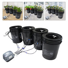 Hydroponics Growing System Recirculating Drip Garden Cultivation 5-Gallon 4 Buck picture