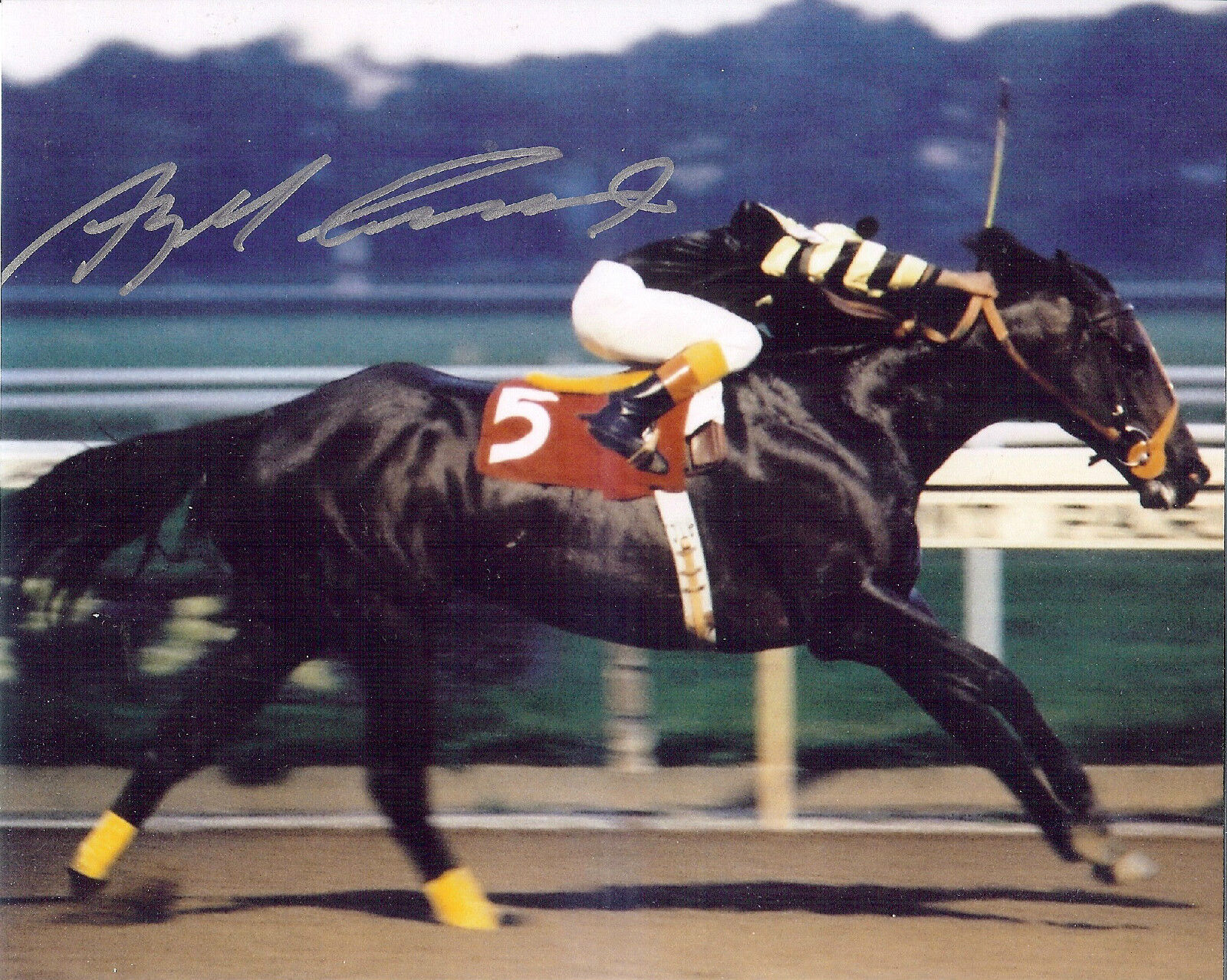 Jockey Angel Cordero autographed 8x10  photo riding Seattle Slew to victory