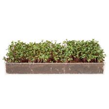 Microgreens Grow Kit - Includes Microgreen Seeds, Fiber Soil, Acrylic Growing Tr picture