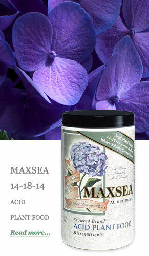 Maxsea Acid Formula 14-18-14 Plant Food 1.5lbs - water soluble seaweed fertilize