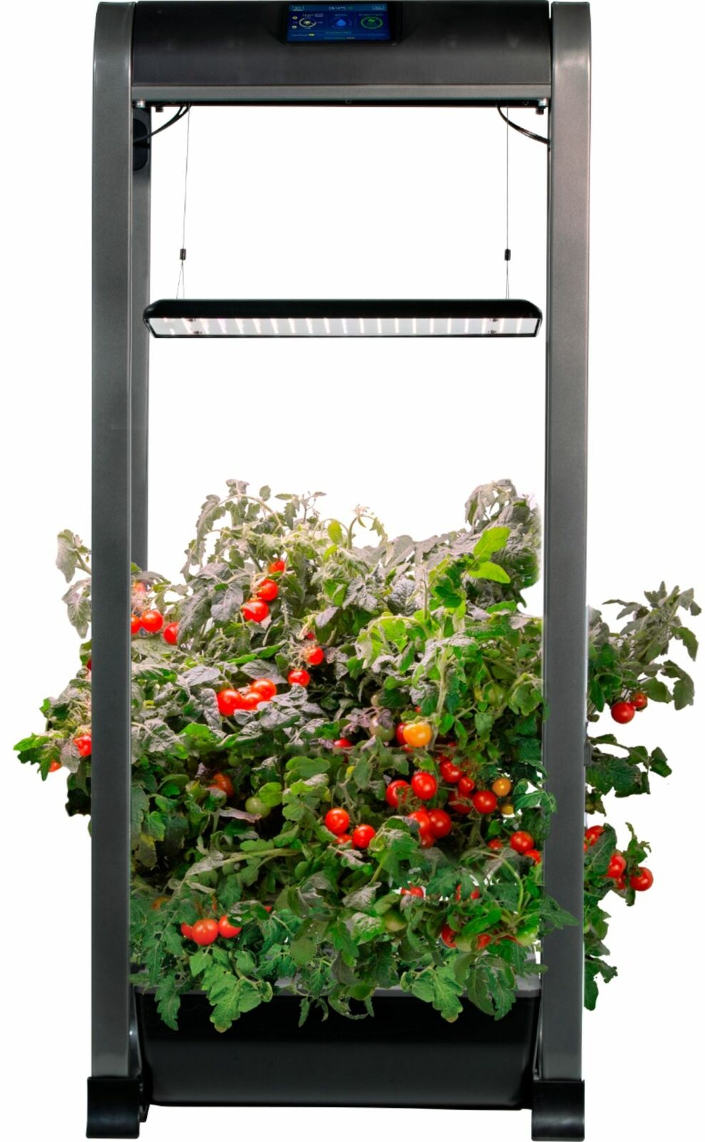 AeroGarden - Farm 12 XL Easy Setup - Healthy eating garden kit 12 Salad B...