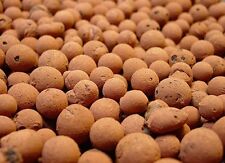 HYDROTON Clay Pebbles Growing Media Expanded Clay Rocks You Save Choose in LITER picture