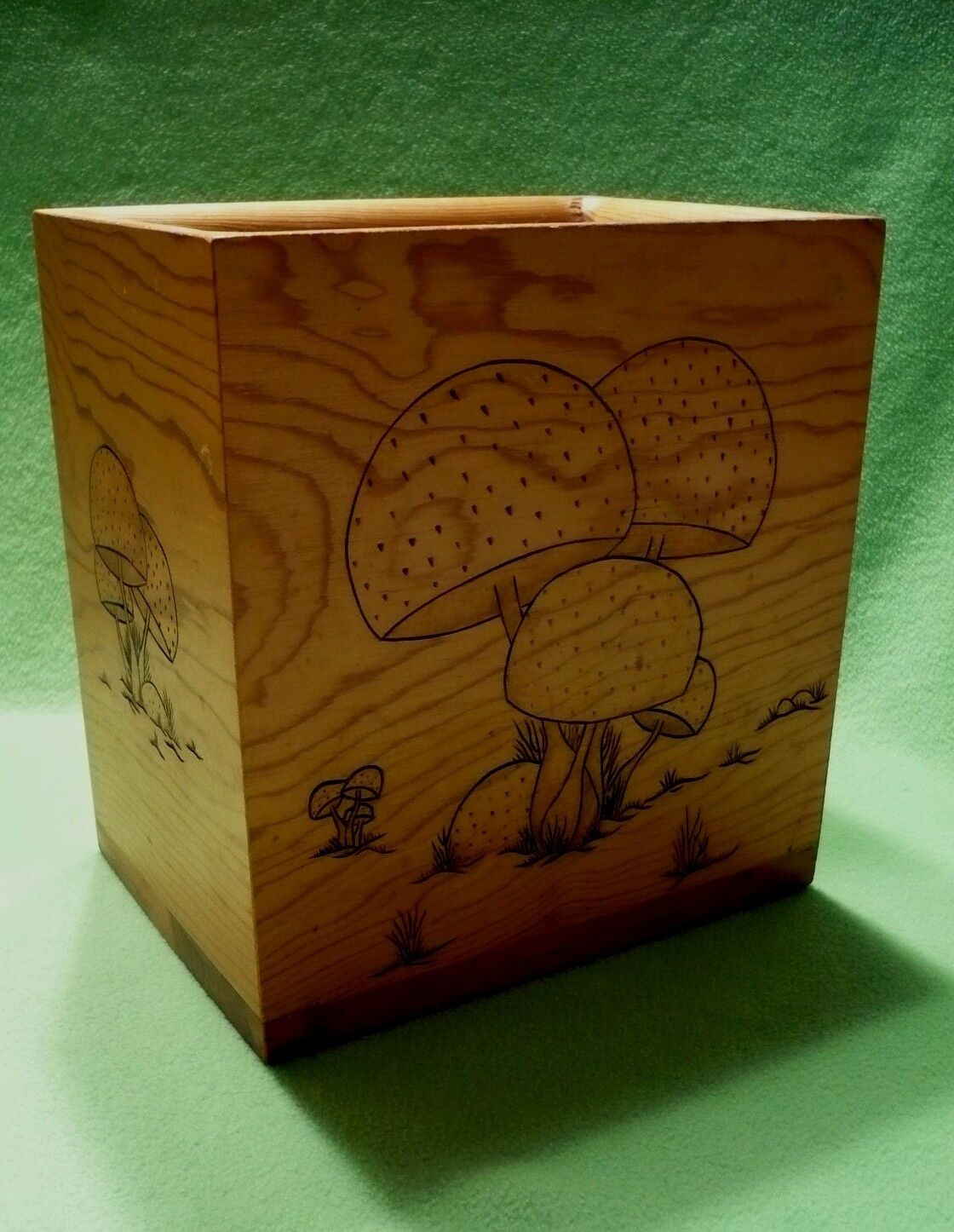 Vintage handcrafted wooden box w/relief carved images of MUSHROOMS.Artist signed
