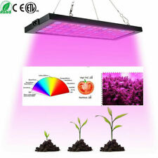 1000W LED Grow Light for Indoor Plant Full Spectrum Seedling Hydroponics Veg B4 picture