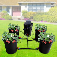 Hydroponic Bucket System Recirculating Top Feed Drip Hydroponics Growing System picture