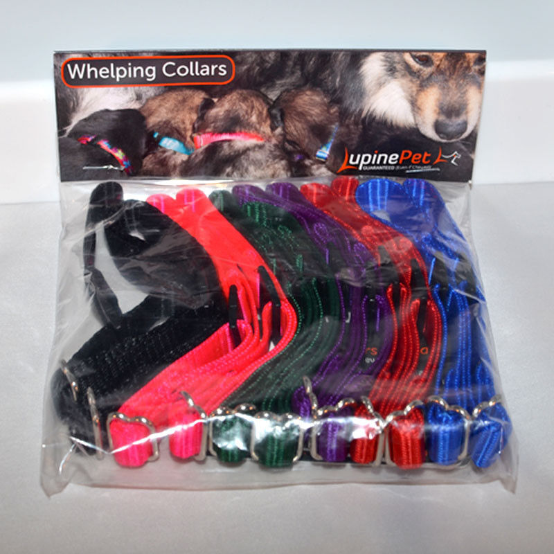 Lupine 12 pack Adjustable Whelping Collars for Puppy ID in 5-7\