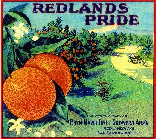Bryn Mawr Redlands Pride Brand Orange Citrus Fruit Crate Label Art Print