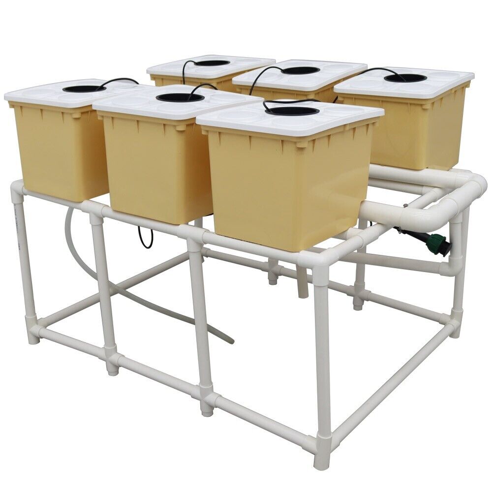 6 Sites Hydroponic Site Grow Kit Strawberry Tomato Growing Soilless Culture
