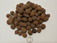1 LB Clay Pebbles Grow Media Expanded Rocks , Hydroponic Aquaponic , Hydroton picture