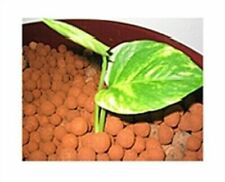  HYDROTON Clay Pebbles Grow Medium Expanded Clay Rocks for Hydroponic Aquaponic  picture