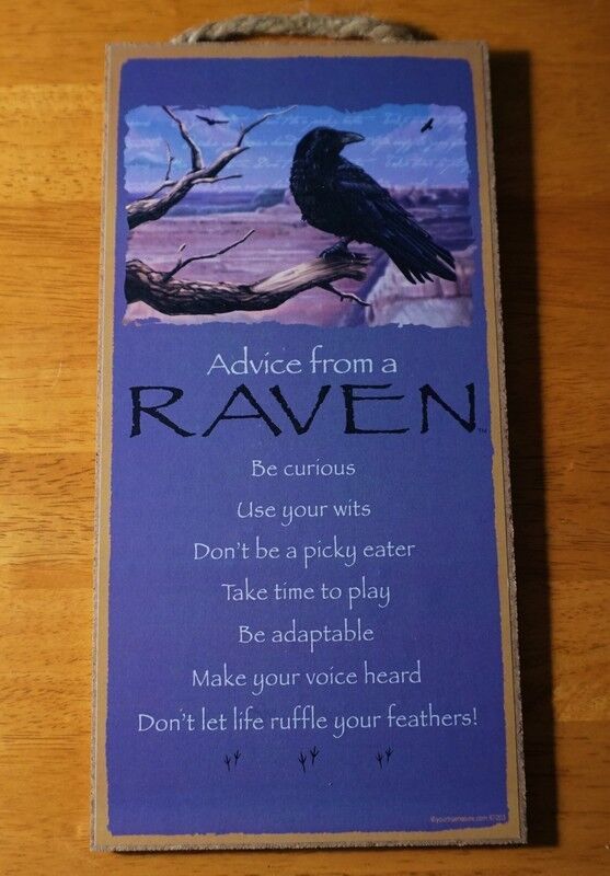 ADVICE FROM A RAVEN BE CURIOUS USE YOUR WITS Black Bird Crow Sign Home Decor NEW
