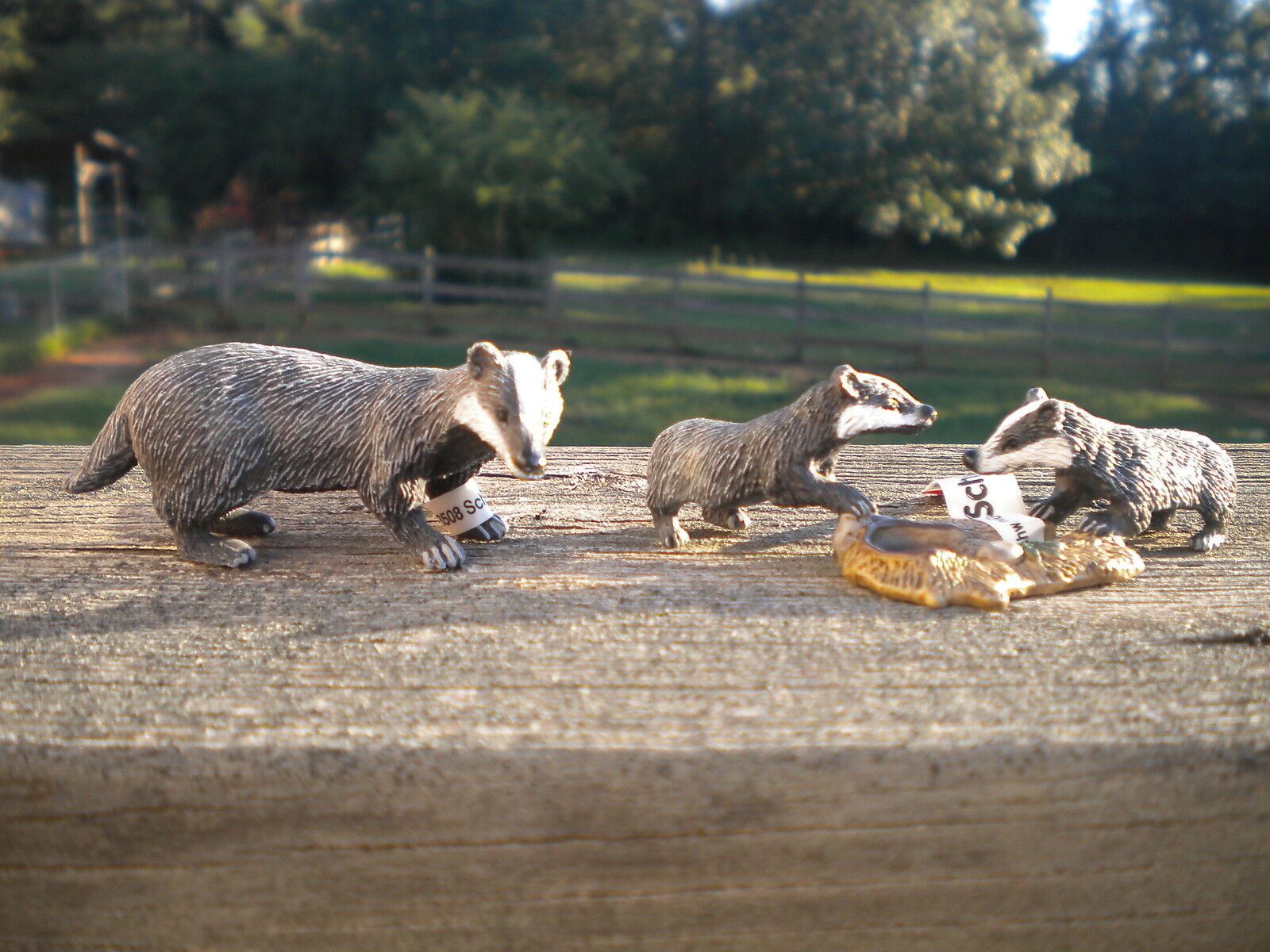 BADGER & CUBS by Schleich; TOY/BADGERS/RETIRED