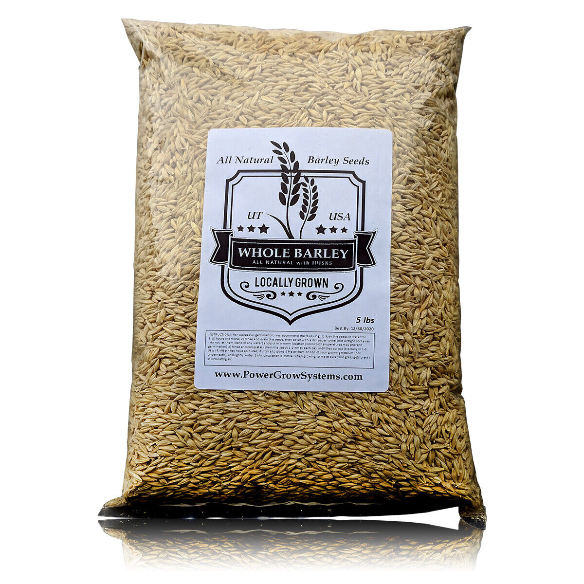 Barley Seeds 🔥 Bulk 5-10 # Sprouting-Juicing-Malt-Brewing-Beer Making NONGMO