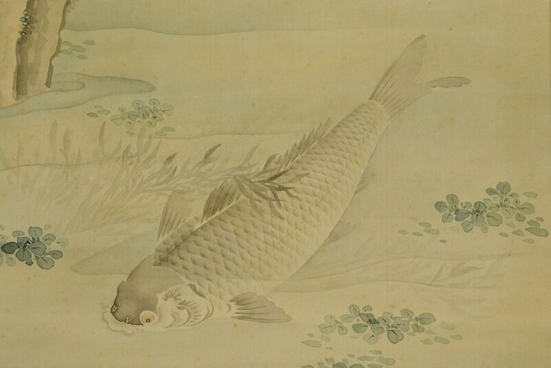 Hanging Scroll Picture Japanese Painting Grass Carp Old ink Japan Antique b254