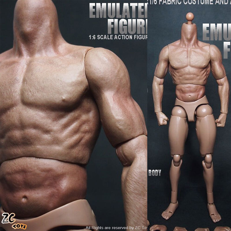 ZC Toys 1:6 Scale Muscular Figure Body fit  For 12\