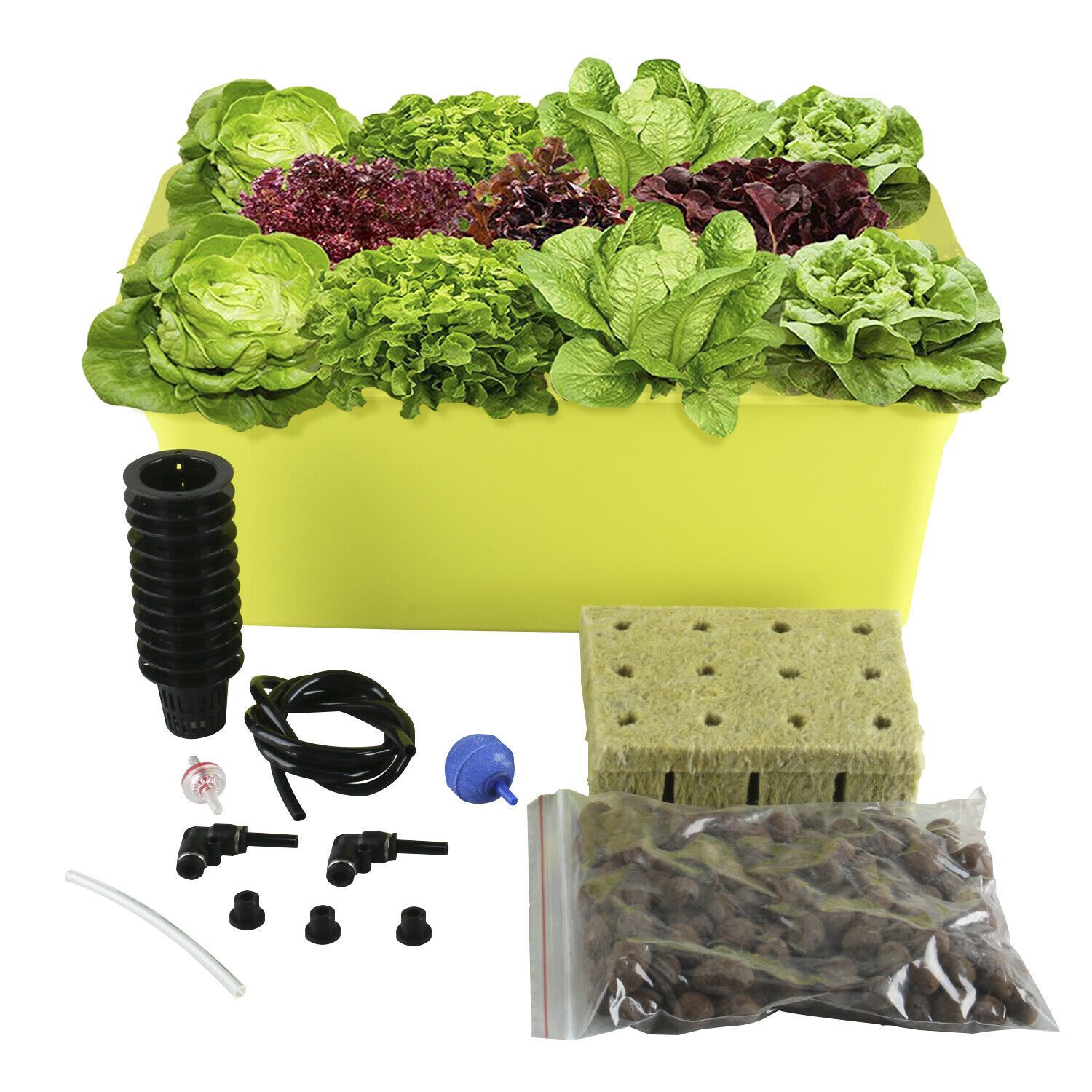 11 Holes Plant Site Hydroponic System Grow Kit,Best Indoor Herb Garden W/ Manual