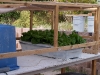 Hydroponic Water Culture System