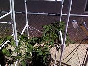 Click image for larger version

Name:	Photo042.jpg
Views:	3336
Size:	97.9 KB
ID:	2694