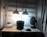 Click image for larger version

Name:	Picture 117.jpg
Views:	6898
Size:	75.9 KB
ID:	2726