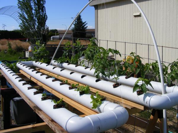 7/20/11   Moved the 2nd system off the grass