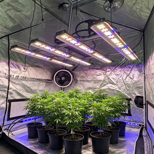 4000W Spider LED Grow Light Bar 4x4ft Coverage Full Spectrum Dimmable Commercial