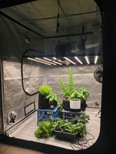 4x4x7 48'x48'x78' complete grow tent kit 640W Light & all filtration accessories picture