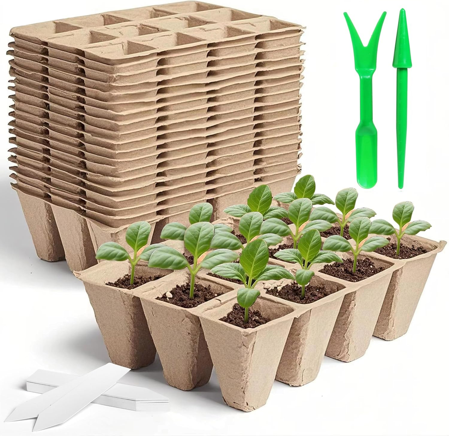 240 Cells Seed Thickened 12-Cell Peat Pots Seed Starter Kit - 20 Trays + Transpl 240 Cells Seed Thickened 12-Cell Peat Pots Seed Starter Kit - 20 Trays + Transpl