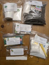 Guest Hollow Botany Lab Supplies Homeschool Science Experiments Hydroponics Leaf picture