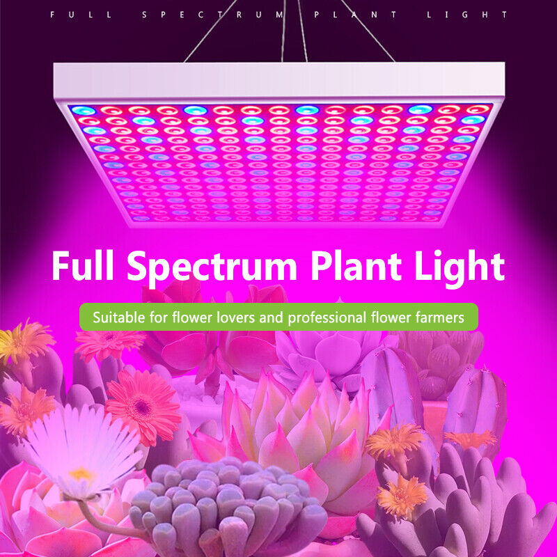 UV Grow Light V LED Full Spectrum Plant eg Lamp For Indoor Hydroponic Plant