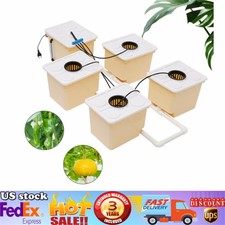 Hydroponics Deep Water Culture DWC Hydroponic System buckets Drip Growing System