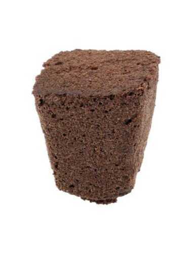 (PICK QTY) Propagation Seedling Clone  Cubes ROOT RIOT RAPIDROOT GH 420 INDOOR
