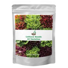 20,000+ Lettuce Seeds, Heirloom Vegetable Seed for Planting 10 Pack, Multi  picture