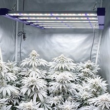 Spider 4000W Most Efficient LED Grow Light Full Spectrum 2.9umol/J for 4x4 Tent