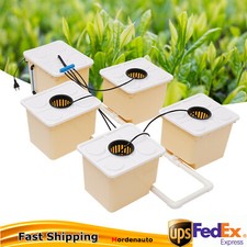 Hydroponics Deep Water Culture DWC Hydroponic System buckets Drip Growing System picture